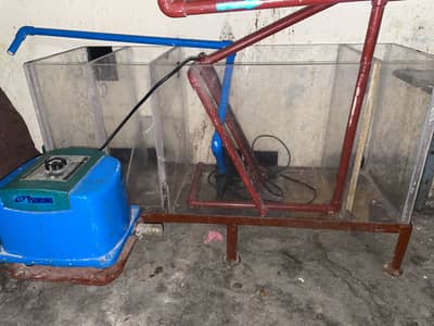 Fish Aquarium