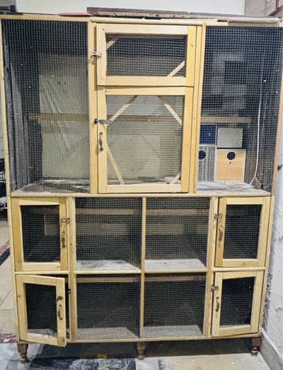 Birds Cage