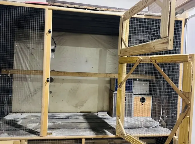 Birds Cage — photo 2