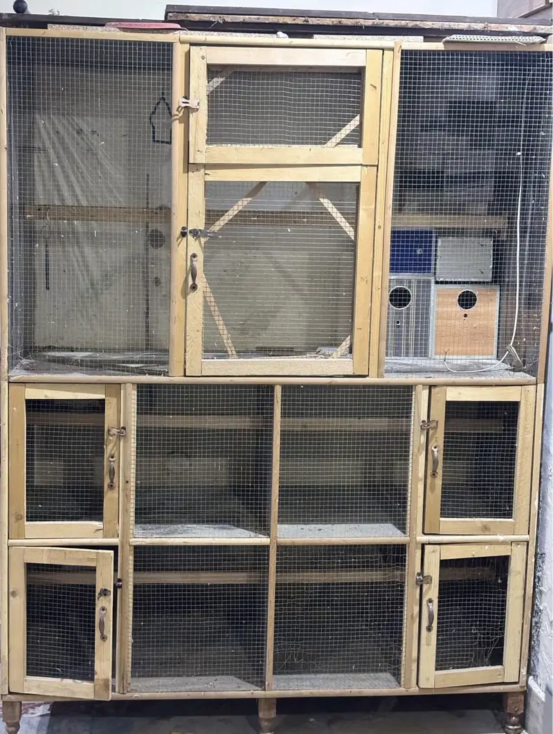 Birds Cage — photo 3