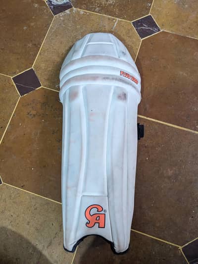 Professional cricket kit