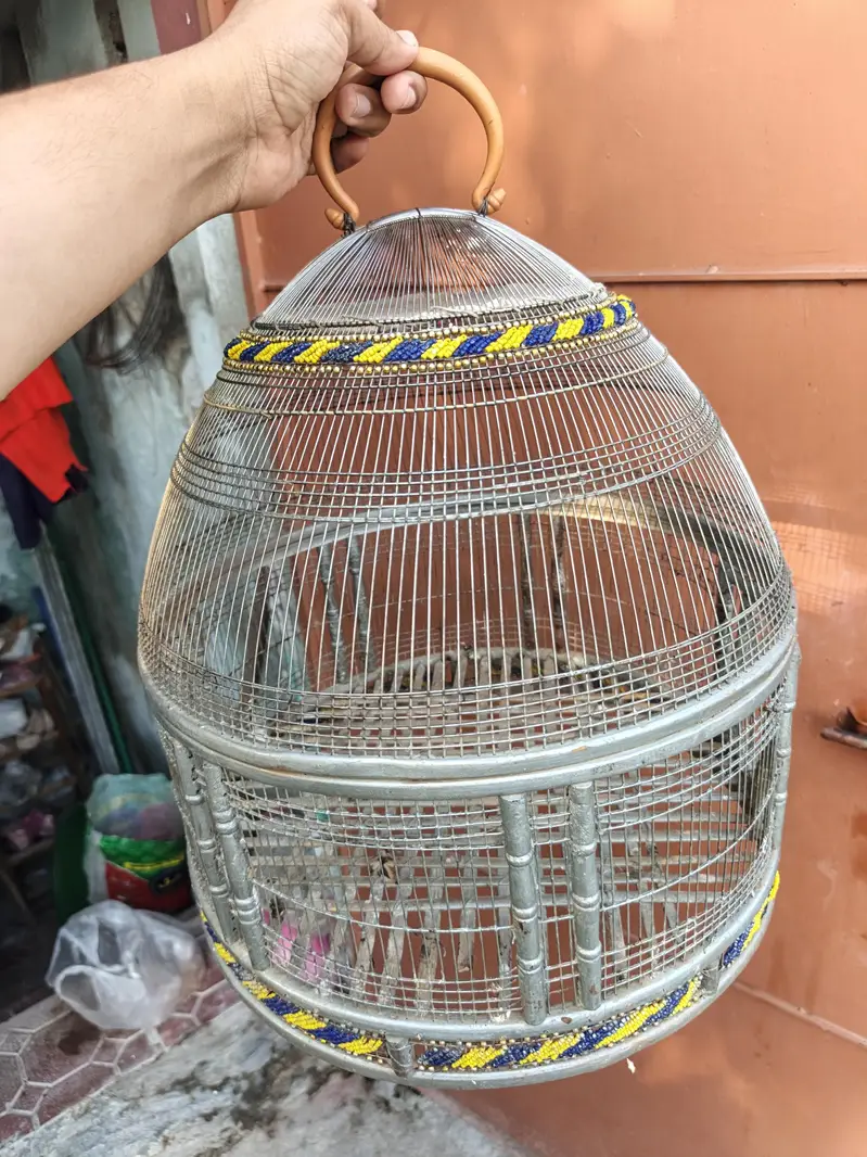 Good Quality Mazboot Steel wire pinjra — photo 3