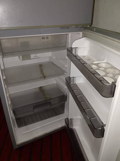 small fridge mini