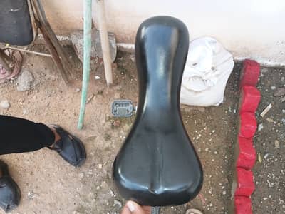 Unicycle , srino