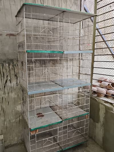 Cages (folding, fix)