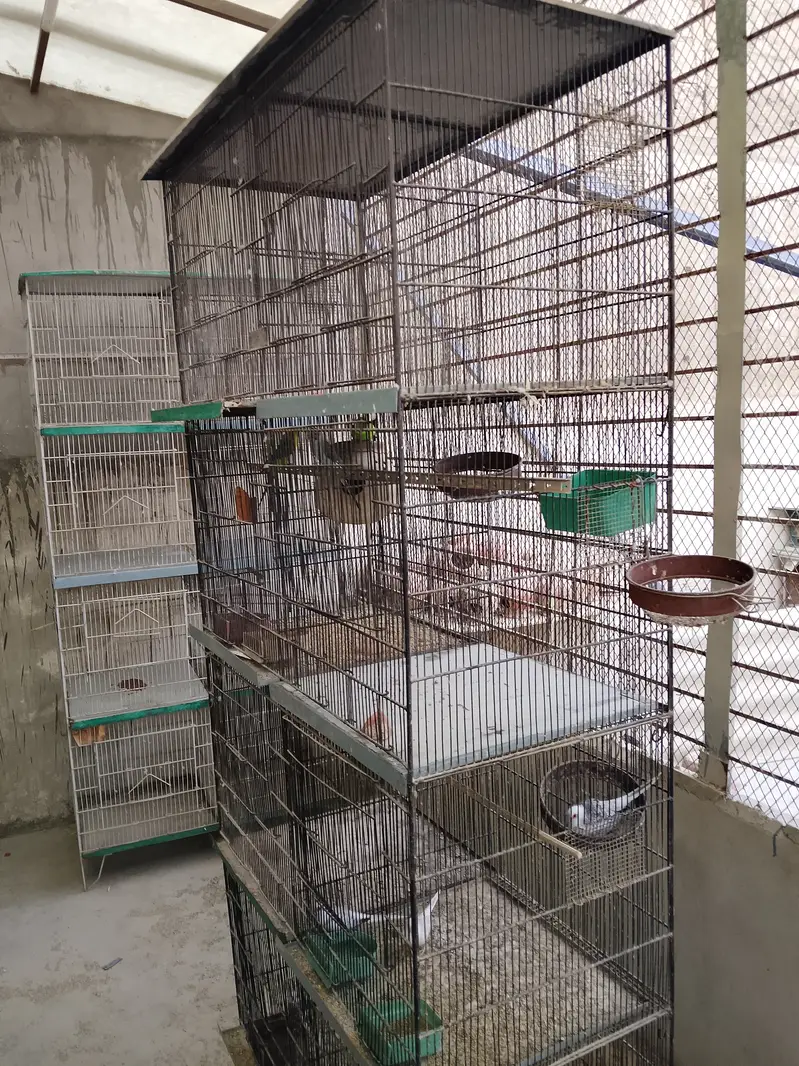 Cages (folding, fix) — photo 2