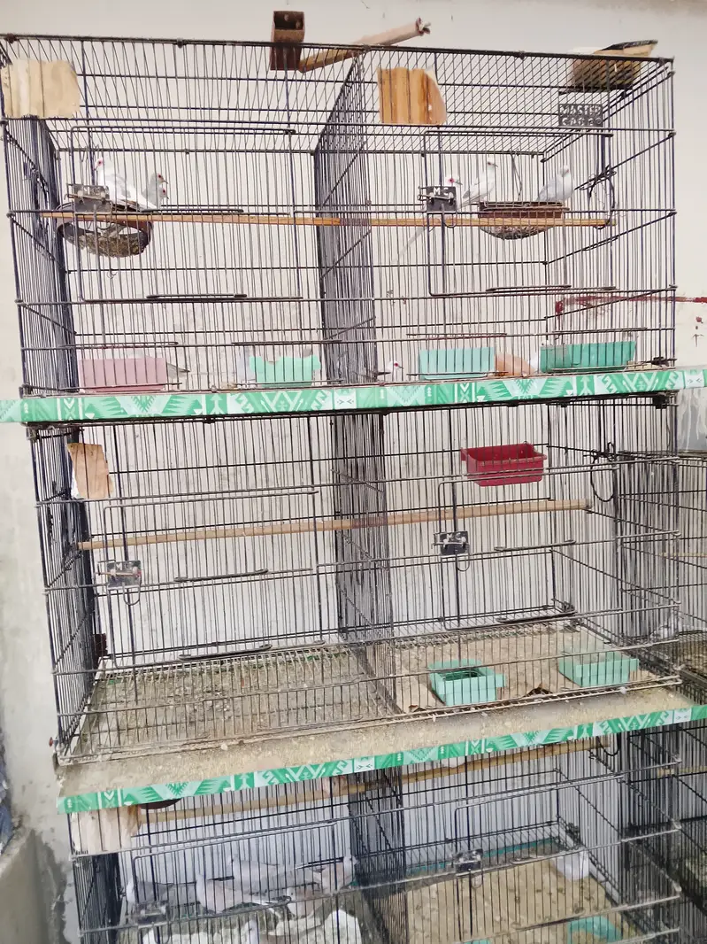 Cages (folding, fix) — photo 3