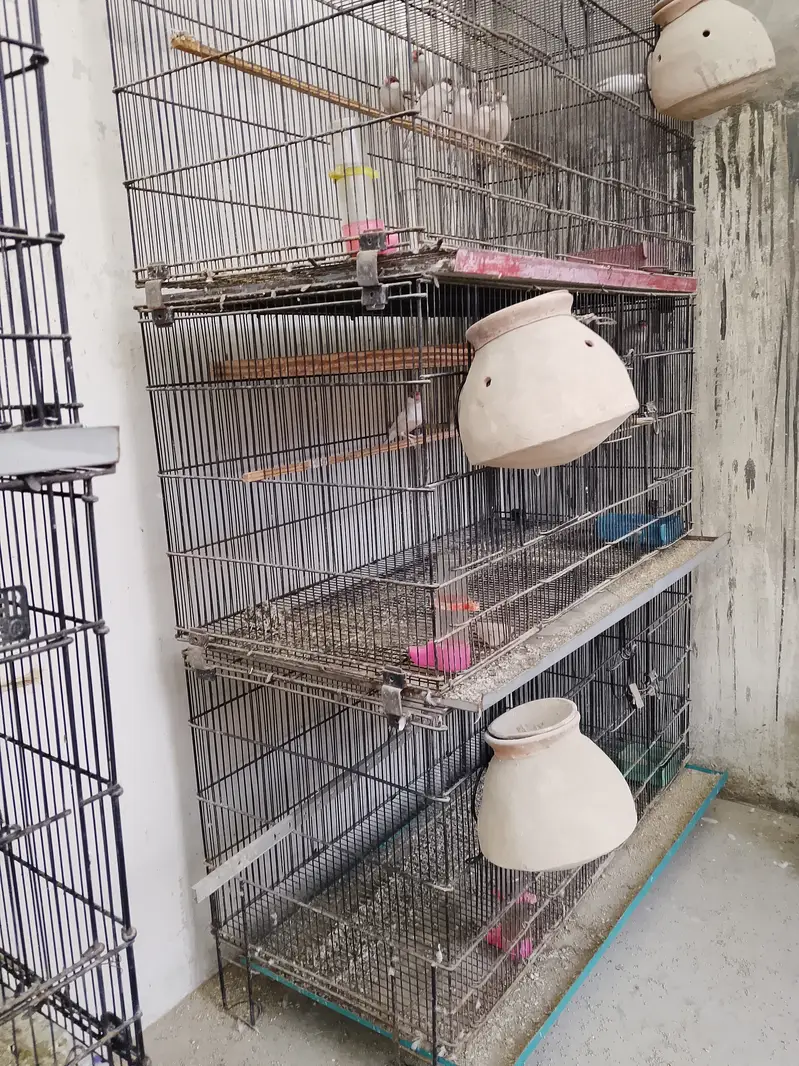 Cages (folding, fix) — photo 4
