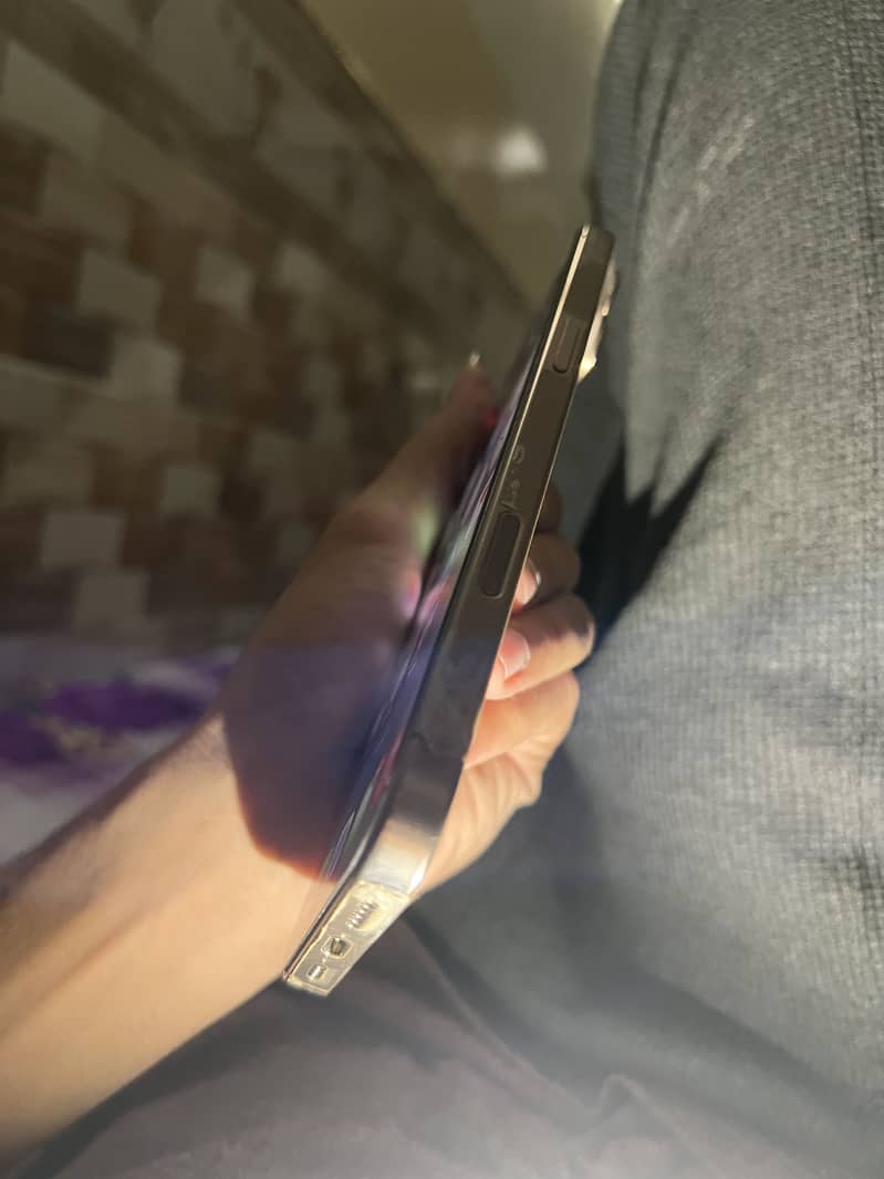 Apple iPhone 16 Pro Max 1