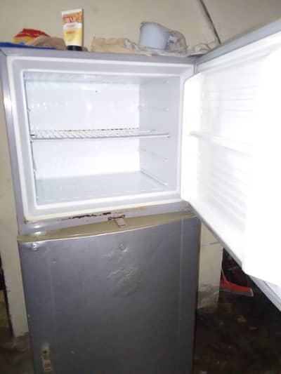 Frige medium size
