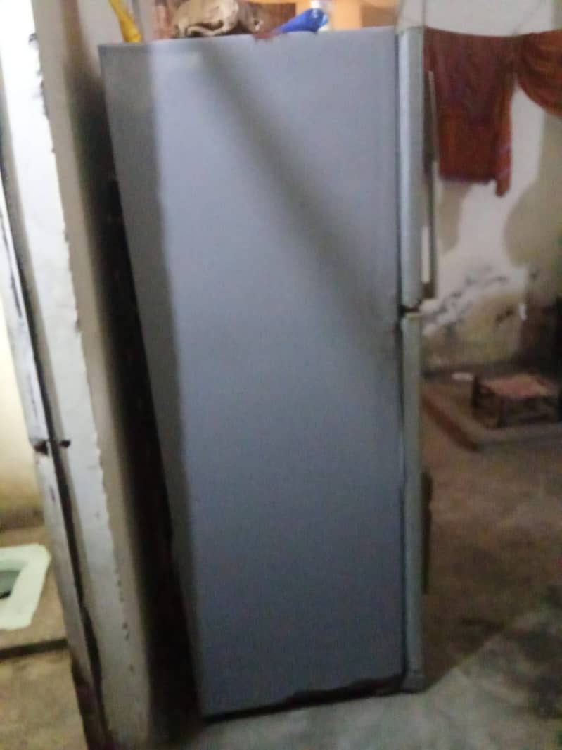 Frige medium size 1