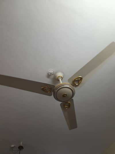 2 fans for sale