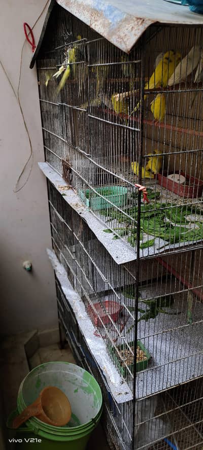 cage 3 portion for birds