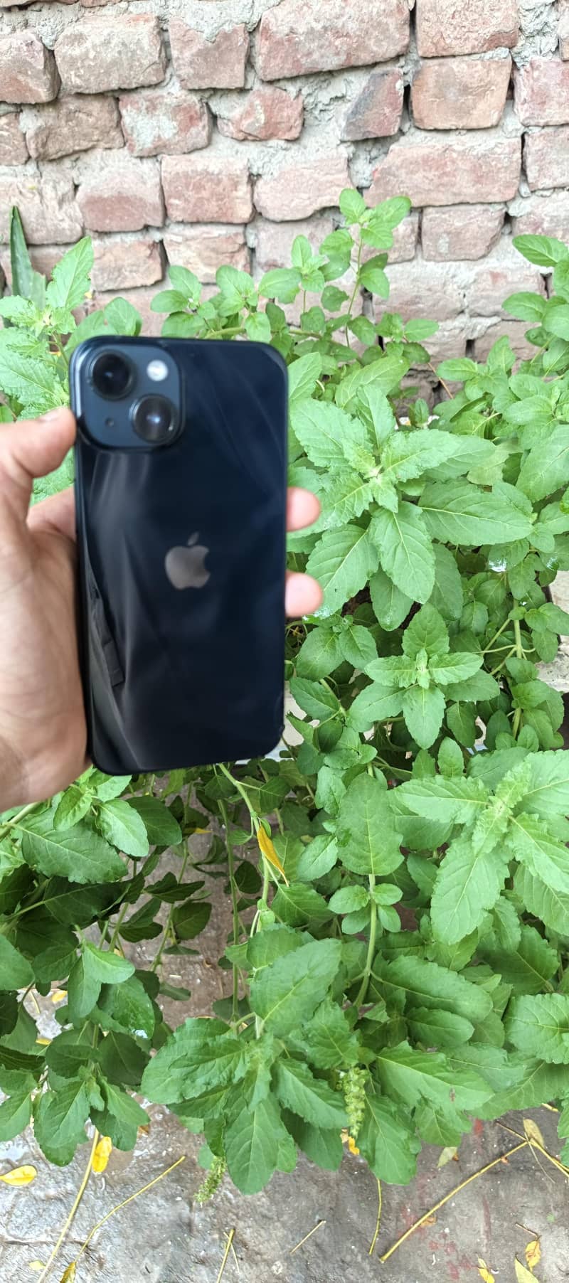 iphone 14 1