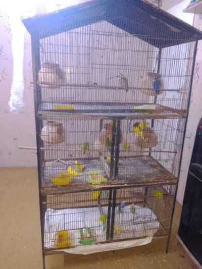 cage for sale 3 portion
