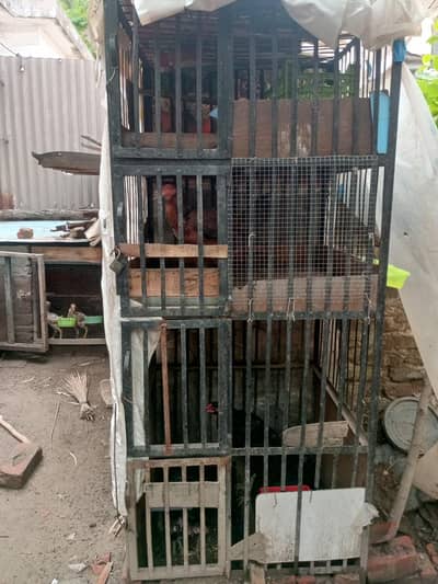 4 portion cage available