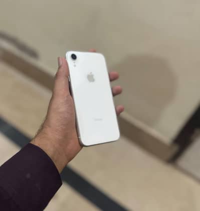 Apple iPhone Xr 10/10