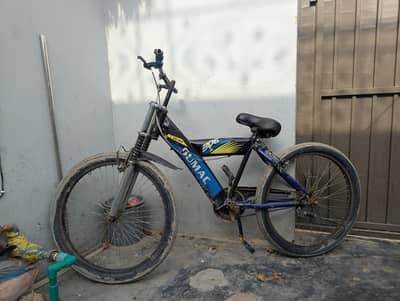 Cycle for sale