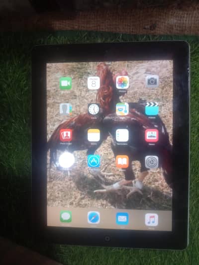 aple ipad