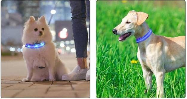 LED Dog Collar USB Rechargeable, Water-Resistant with 3 Flashing Modes for Small to Large Dogs — Blue (38-50 cm) TC6100