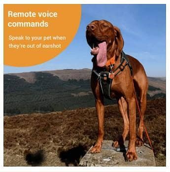 PAWFIT 2 Smarter Tracker for Dogs and Activity Monitor Petcare  C R3610