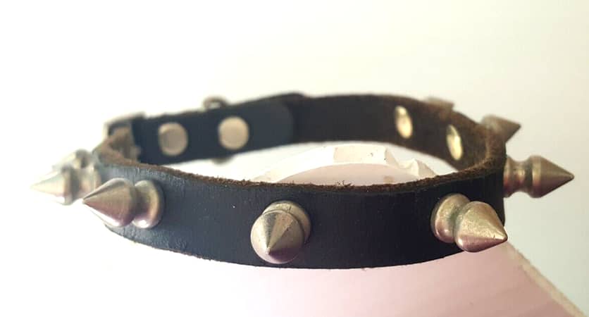 Metal Spikes Leather Collar for Dogs A R1130