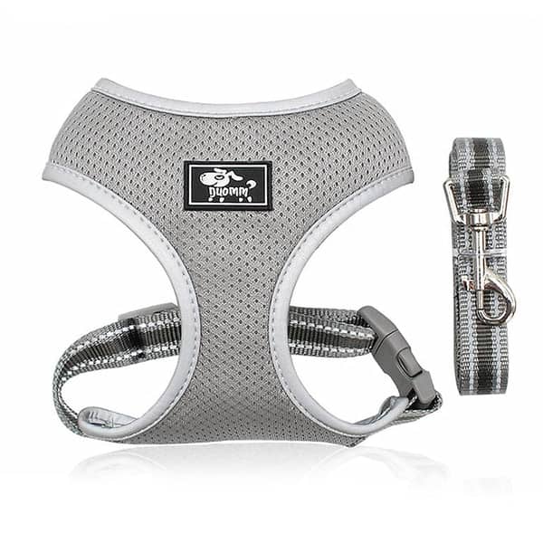 Dog Harness No-Pull Step-in Air Harness, All-Weather Mesh, Adjustable Reflective Vest for Small to Large Dogs (Grey, S) UK Import