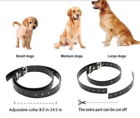 Dog Training Collar LCD Display Rechargeable Waterproof  C  R3603