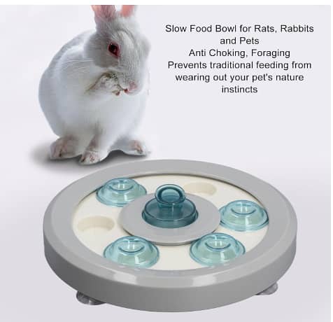 Slow Feeder Dog Bowl with Non-Slip Base — Interactive, Multifunctional Pet Feeding Bowl for Cats, Dogs, and Small Animals