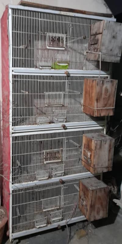 lovebirds cage