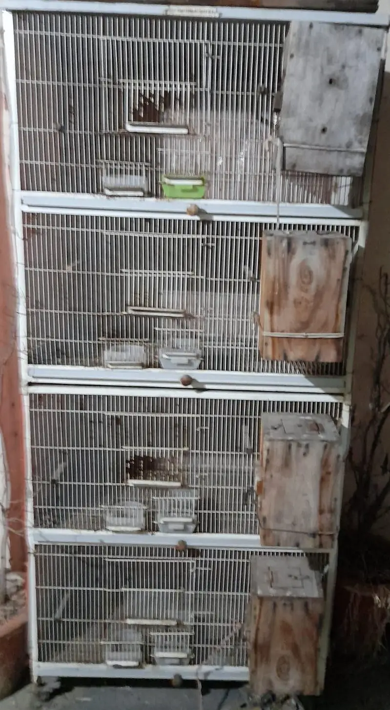 lovebirds cage — photo 2