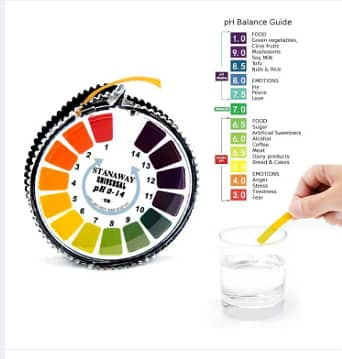 Universal pH Test Strips Roll – Full Range 1–14 Indicator Paper, Dispenser, Color Chart, 5 m / 16.4 ft (R5295 C)