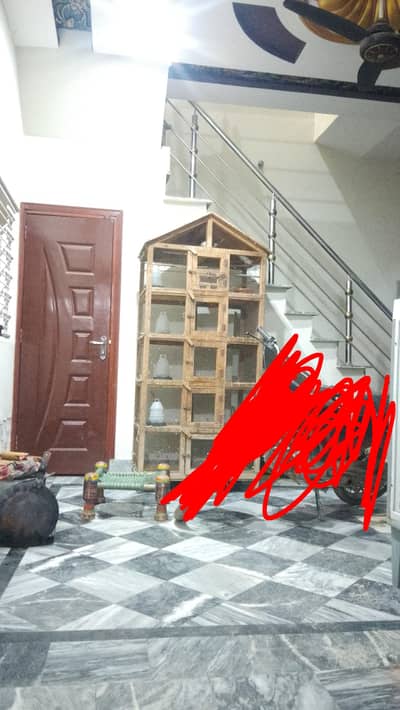 birds cage