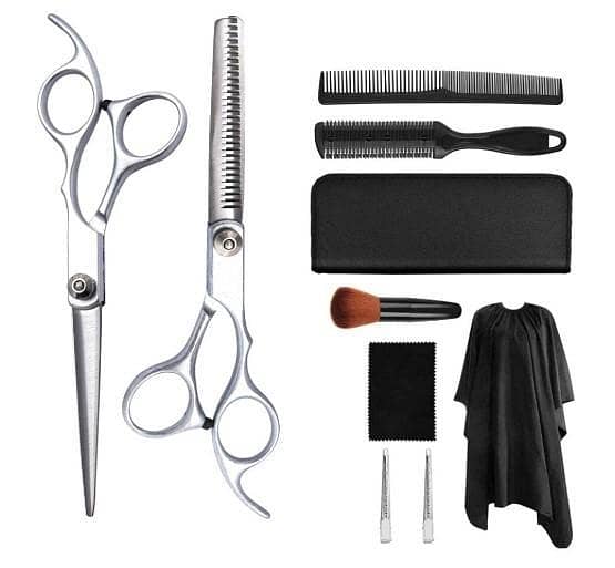 Professional Salon Barber Hair Cutting Scissors Shears, Razor Edge for Hair Styling,Silver,6.0 Inch Set C A1558