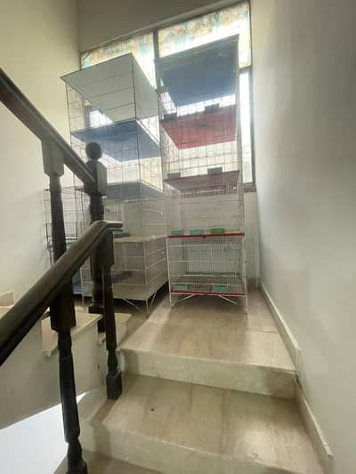 cages for sell