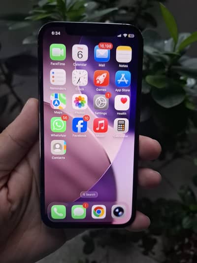 iPhone 12 Pro