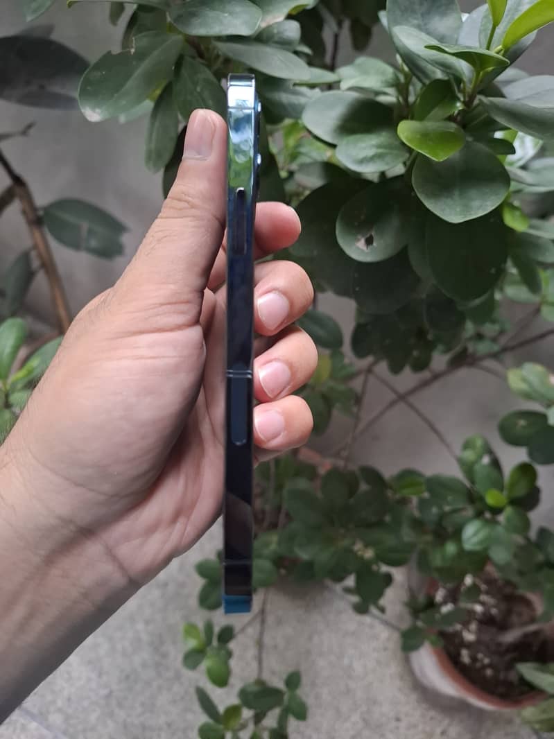 iPhone 12 Pro 6
