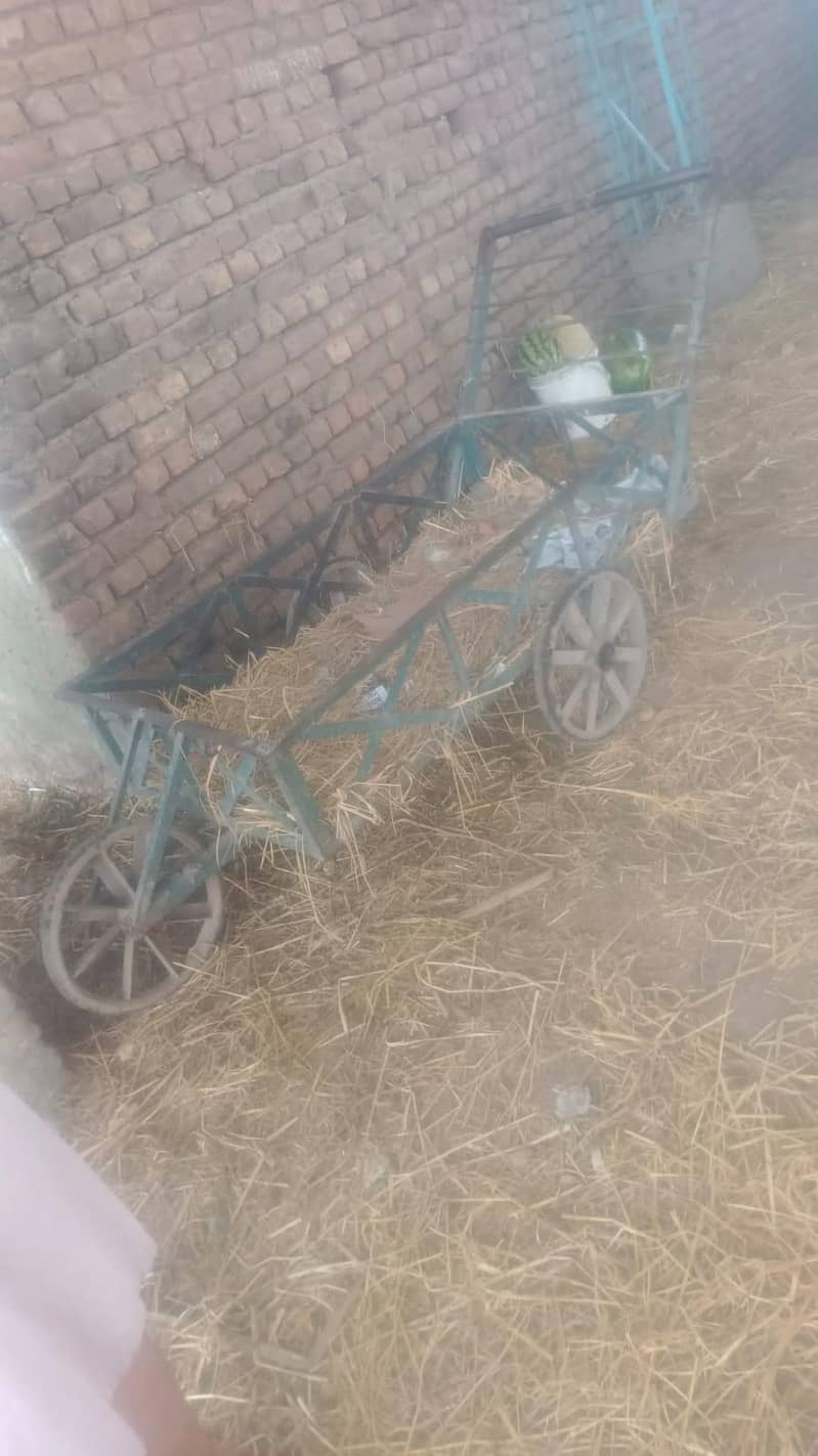 jangla 0