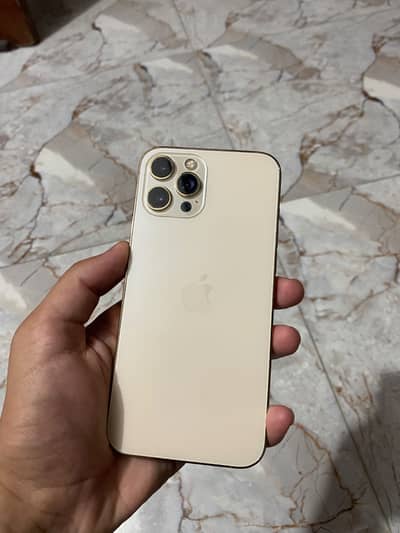 Apple iPhone 12 Pro Max
