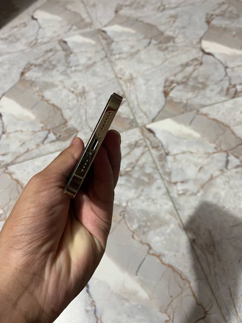 Apple iPhone 12 Pro Max 1