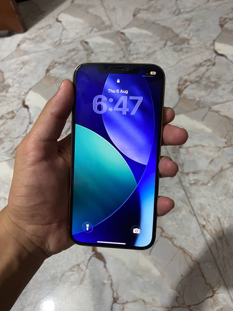 Apple iPhone 12 Pro Max 2