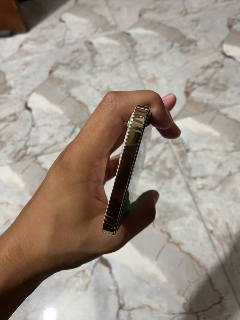 Apple iPhone 12 Pro Max 3