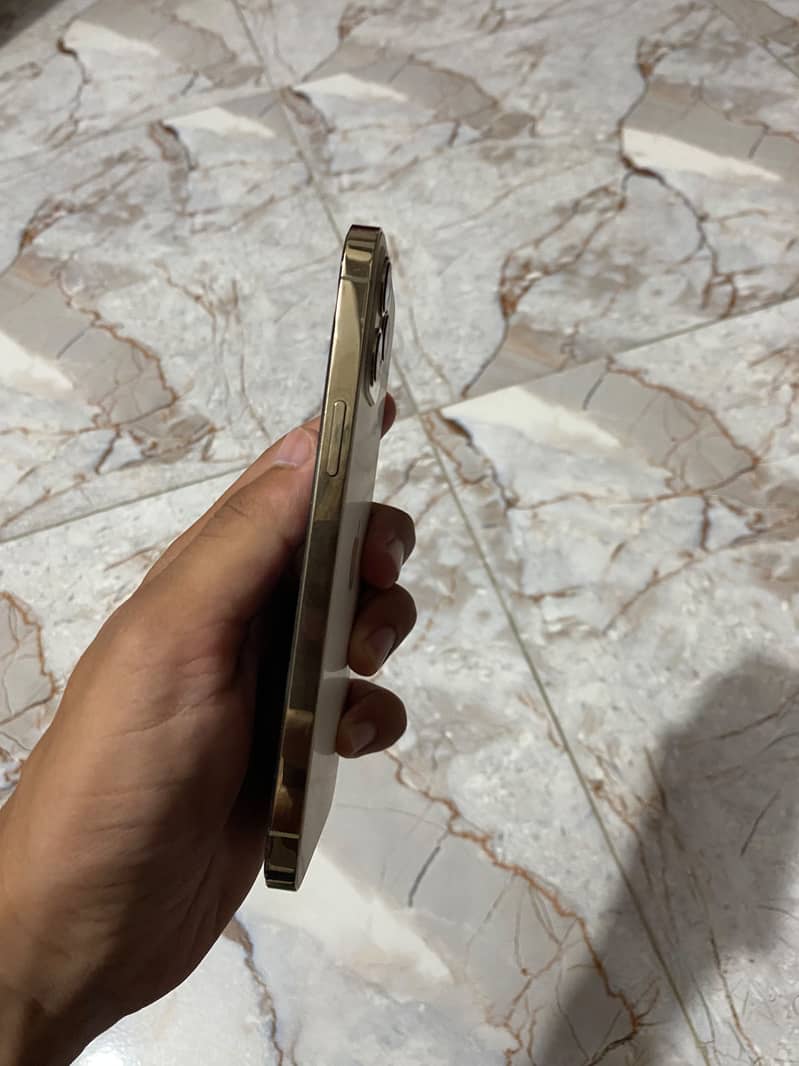 Apple iPhone 12 Pro Max 4
