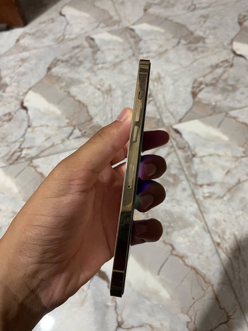 Apple iPhone 12 Pro Max 5