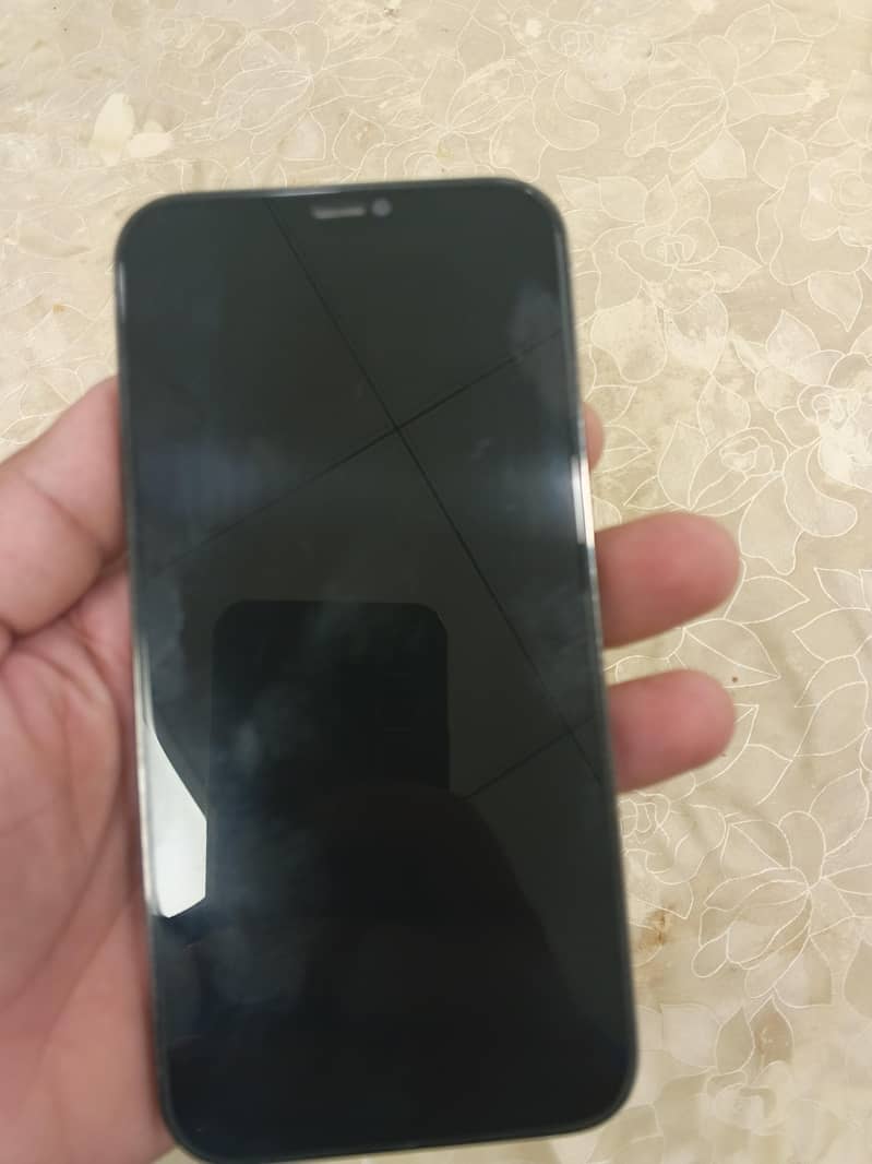 Apple iPhone 12 Pro Max 1