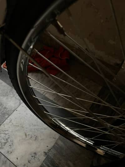 sohrab baba cycle