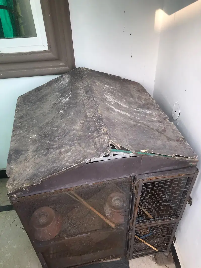 metal cage for sale — photo 4