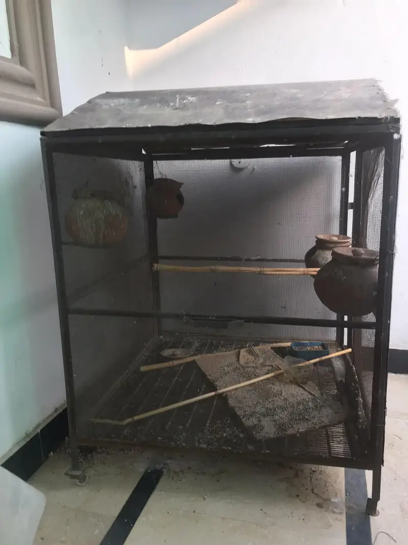 metal cage for sale — photo 5