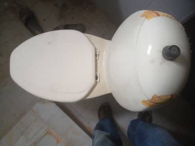 Commode pool toilet sale
