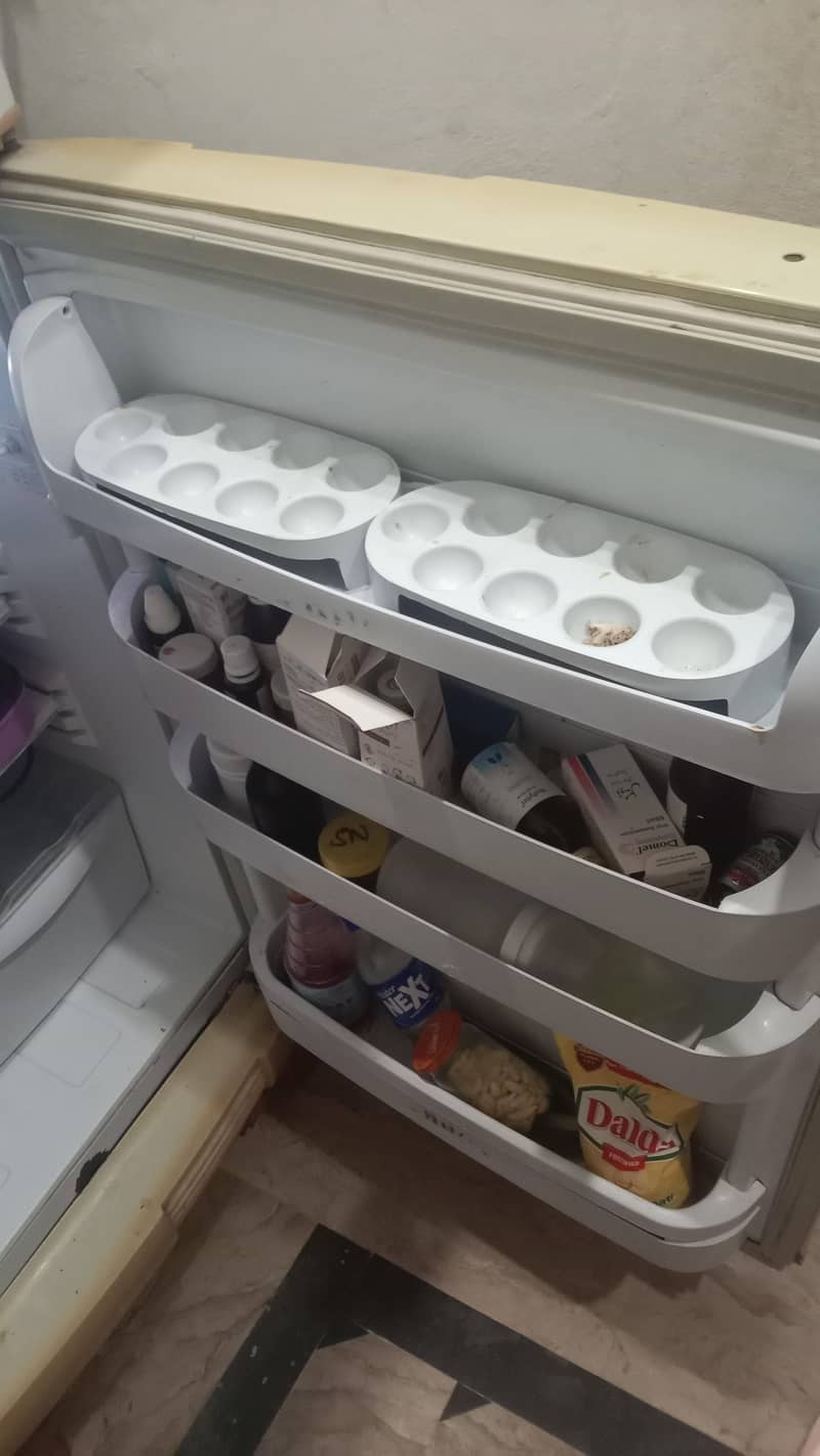 Pell fridge Model 2015 1